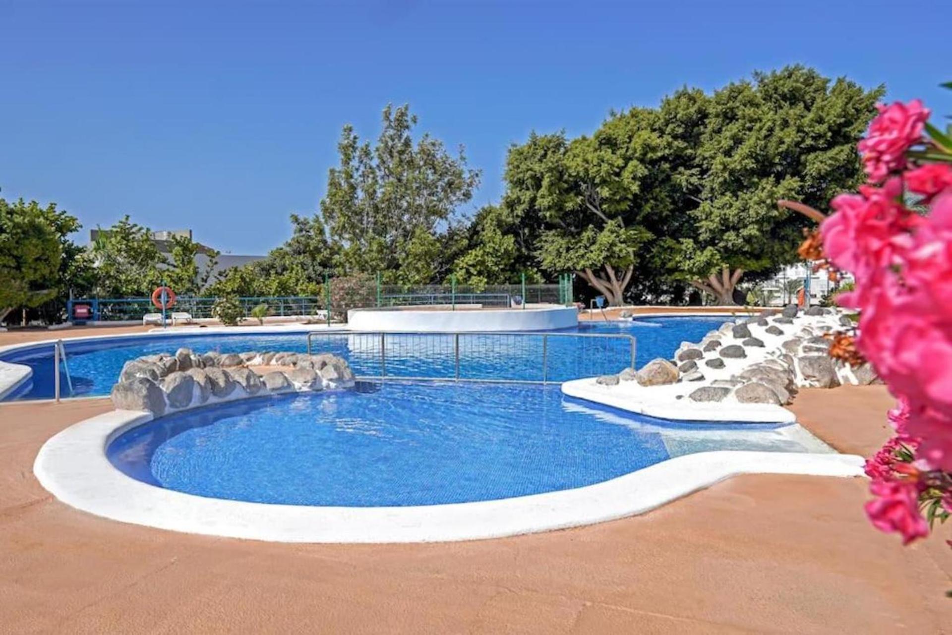 Amazing 2 Bedroom Flat With Beachfront And Pool, Paraiso Del Sur A306 プラヤ・パライソ エクステリア 写真